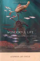 Cover for Wonderful Life